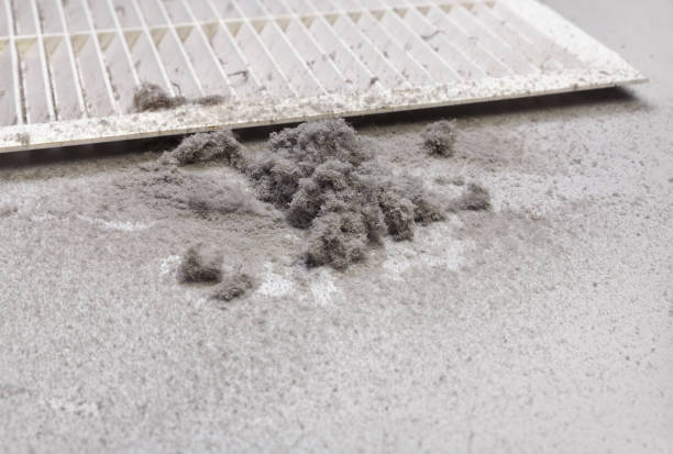 Best Residential Air Duct Cleaning  in Danielson, CT